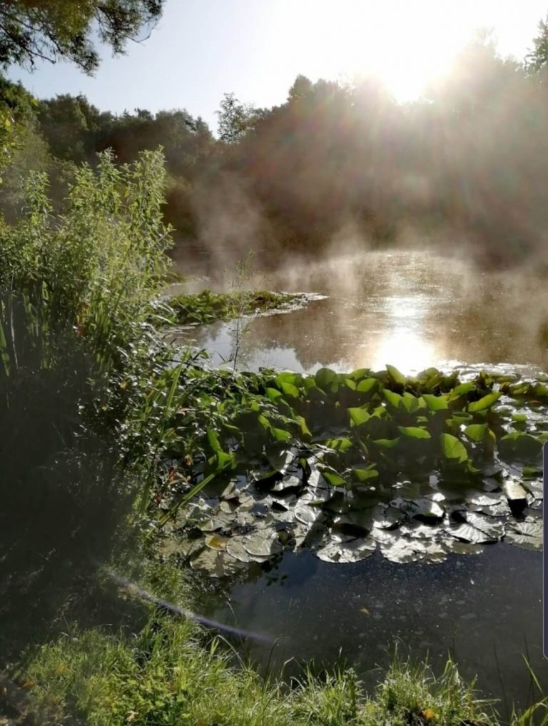 Medlock Valley Fishery