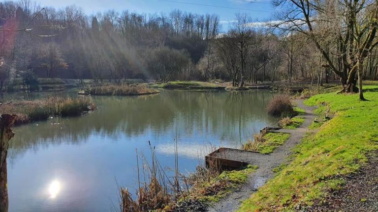 Medlock Valley Fishery